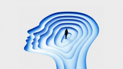 2025机械人行业：人形机械人、工业、具身智能、