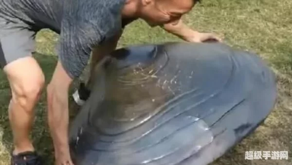 巨型蚌壳