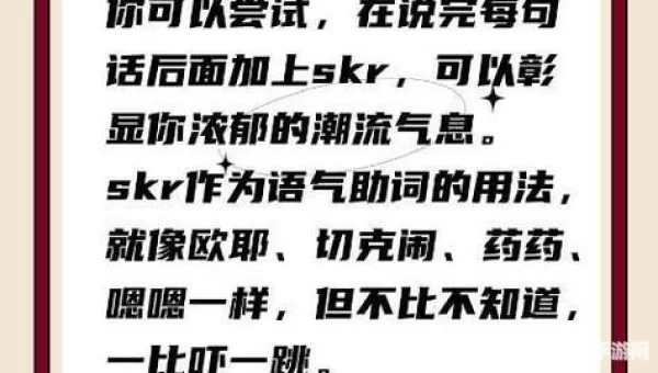 skr什么意思