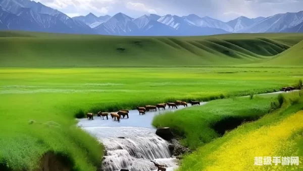 高清下载