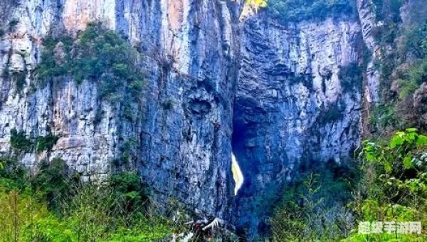 天坑树洞在哪