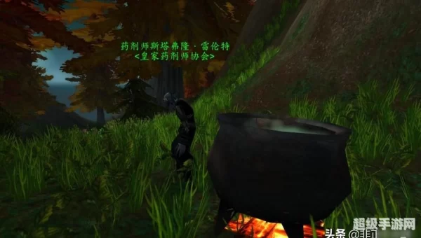 wow情人节任务