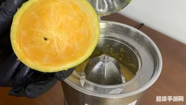 柚子社最强榨汁机