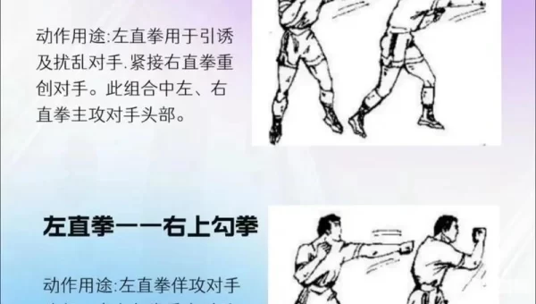 男散打技能