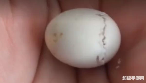 怪异的蛋